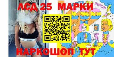 стаф Краснодар