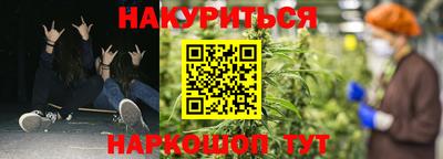стаф Краснодар