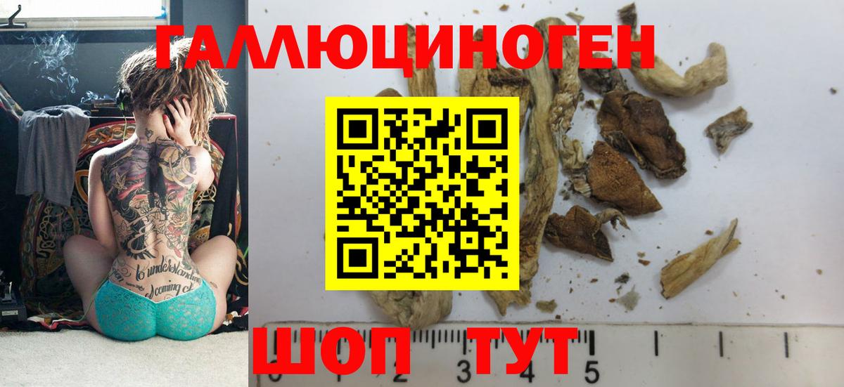 Карпинск  Галлюциногенные грибы Cubensis  сколько стоит  Вход с VPN 